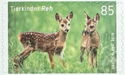 Western Roe Deer (Capreolus capreolus)