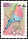 Lilac-brested Roller (Coracias caudata)