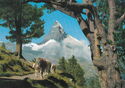 Zermatt: Hiking with the Matterhorn