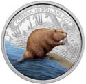 20 Dollars (Beaver at Work)