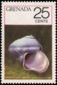 Purple Sea Snail (Janthina janthina)