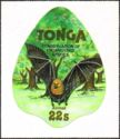 Pacific Flying Fox (Pteropus tonganus)
