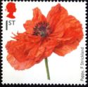 F Strickland "Poppy"
