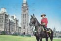 Royal Canadian Mounted Police Constable on Parliament Hill