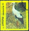 White Stork (Ciconia ciconia)