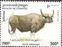 Gaur (Bos gaurus)