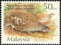 Malayan Partridge (Arborophila campbelli)
