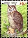 Eurasian Eagle-owl (Bubo bubo)