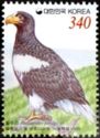 Steller's Sea-eagle (Haliaeetus pelagicus)