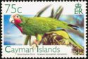 Grand Cayman Parrot (Amazona leucocephala caymanensis)