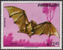 Common Vampire Bat (Desmodus rotundus)