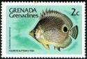 Foureye Butterflyfish (Chaetodon capistratus)