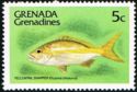 Yellowtail Snapper (Ocyurus chrysurus)