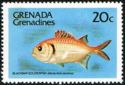 Blackbar Soldierfish (Myripristis jacobus)