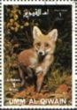 Red Fox (Vulpes vulpes)