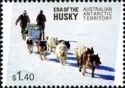 Husky Team Pulling Sled (white background)