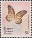 Tamil Lacewing (Cethosia nietneri)
