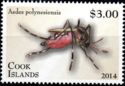 Polynesian Tiger Mosquito (Aedes polynesiensis)