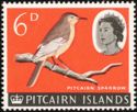 Pitcairn Sparrow (Acrocephalus vaughani)