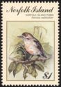 Norfolk Island Robin (Petroica multicolor) Hen on Branch