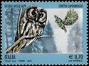 Boreal Owl (Aegolius funereus)