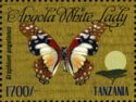 Angla White Lady (Graphium angolanus)
