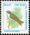 Blue-and-white Swallow (Notiochelidon cyanoleuca) 