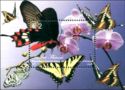 Swallowtail (Papilio machaon), Orchid
