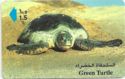 Green Turtle