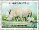 White Rhinoceros (Ceratotherium simum)