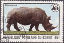 Black Rhinoceros (Diceros bicornis)