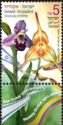 Ophrys apifera (Bee orchid) & Dracula simia (Monkey orchid)