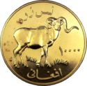 10,000 Afghanis (Marco Polo Sheep)