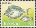 Ume Ihu - Bluespine Unicornfish (Naso unicornis)