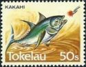 Kakahi - Yellowfin Tuna (Thunnus albacares)