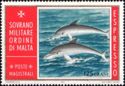 Common Bottlenose Dolphin (Tursiops truncatus)