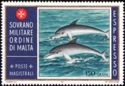 Common Bottlenose Dolphin (Tursiops truncatus)