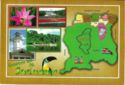 Groeten uit Suriname