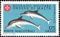 Common Bottlenose Dolphin (Tursiops truncatus)