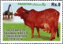Centenary of Sahiwal Breed Conservation