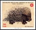 Crested Porcupine (Hystrix cristata)