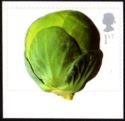 Brussels Sprout