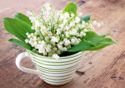 Bouquet of lily of the valley
