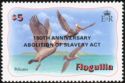 Brown Pelicans (Pelecanus occidentalis) - Overprinted
