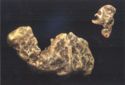 Gold Nugget «Camel», gold nugget «Mephistopheles»
