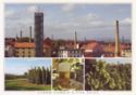 Žatec - History, Hop, Beer, Atmosphere