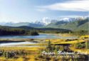 Mount Edith Cavell and the Athabasca River Valley