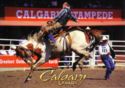 Saddle Bronc at Stampede Rodeo. Calgary