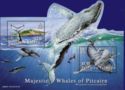 Majestic Whales of Pitcairn