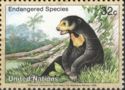 Sun Bear (Helarctos malayanus)